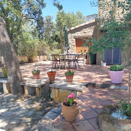Casa Rural Vinas Perdidas Bejar Exterior photo
